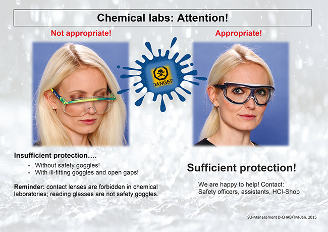 Enlarged view: Safety Glasses